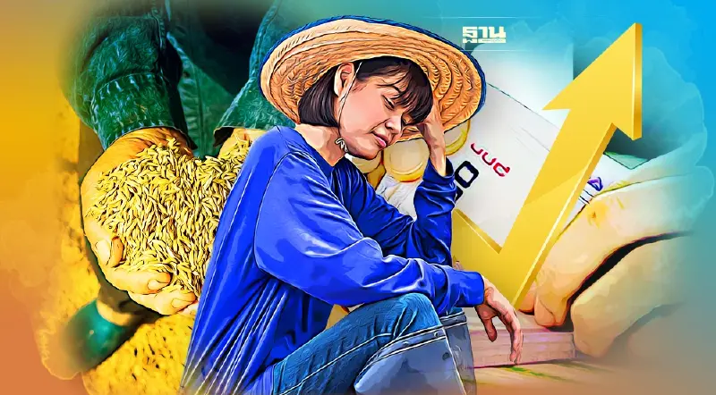 ชาวนาไทยอ่วม จี้รัฐแก้ปุ๋ย-ยาฆ่าแมลง-น้ำมันแพง ทำต้นทุนข้าวไทยพุ่ง