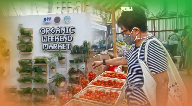 สาวกรักสุขภาพมาทางนี้ "พาณิชย์"ยกตลาดนัดอินทรีย์บุกกลางเมือง