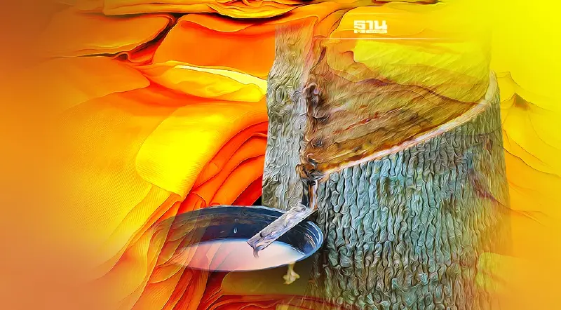 “ตรุษจีน” ราคายางพุ่ง ทุบสถิติในรอบ 5 ปี