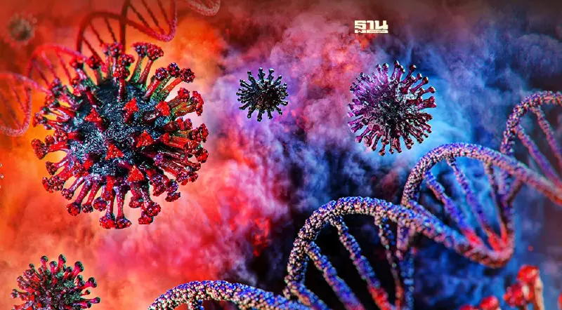 เชื้อโควิดแต่ละสายพันธุ์อยู่บนผิวมนุษย์-พลาสติกได้กี่ชั่วโมง