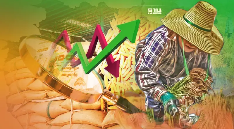 แนวโน้มธุรกิจ-อุตสาหกรรมข้าวปี 65 -67 รุ่งหรือร่วง