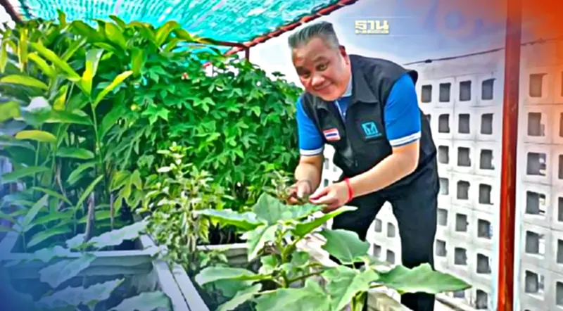 มิติใหม่อาคารเช่าการเคหะฯ ตอบโจทย์ความยั่งยืน มิติใหม่อาคารเช่าการเคหะฯ ตอบโจทย์ความยั่งยืน
