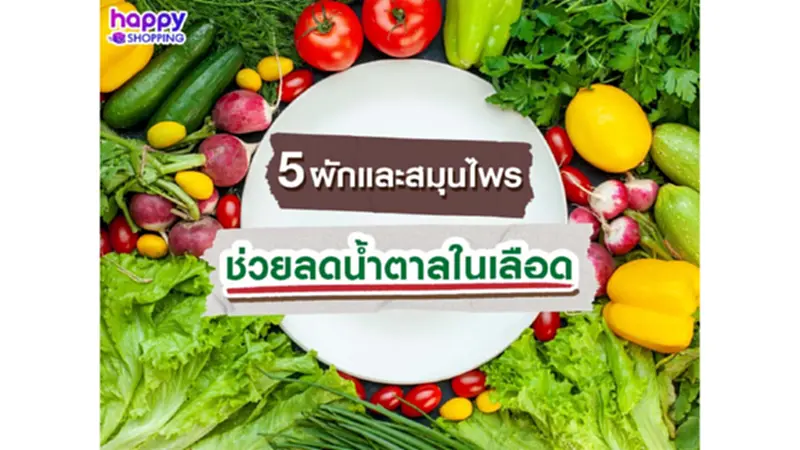 5 ผักและสมุนไพรช่วยลดน้ำตาลในเลือด 5 ผักและสมุนไพรช่วยลดน้ำตาลในเลือด