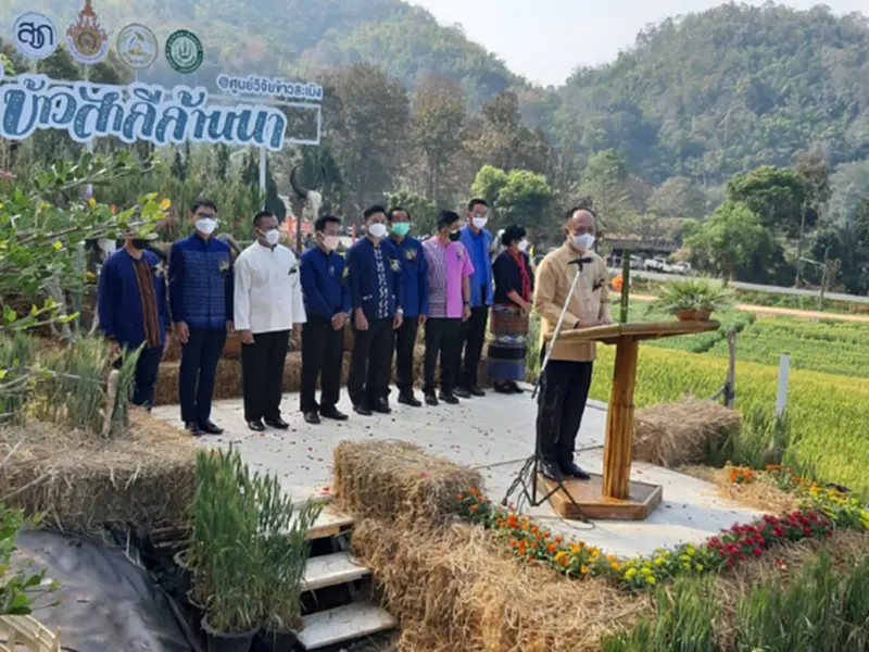 กรมการข้าว เร่งผลักดันข้าวสาลี ส่งเสริมเกษตรกรแปลงใหญ่ กรมการข้าว เร่งผลักดันข้าวสาลี ส่งเสริมเกษตรกรแปลงใหญ่