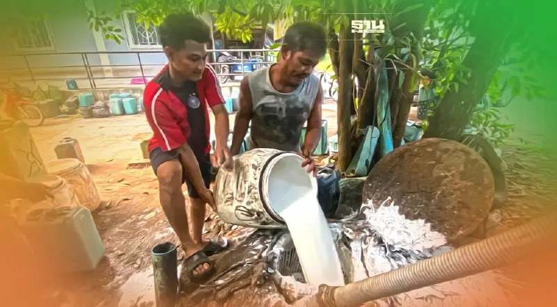 ชาวสวนใต้ยิ้ม ของน้อยความต้องการมาก น้ำยางสดพุ่งแตะ65บาท ชาวสวนใต้ยิ้ม ของน้อยความต้องการมาก น้ำยางสดพุ่งแตะ65บาท