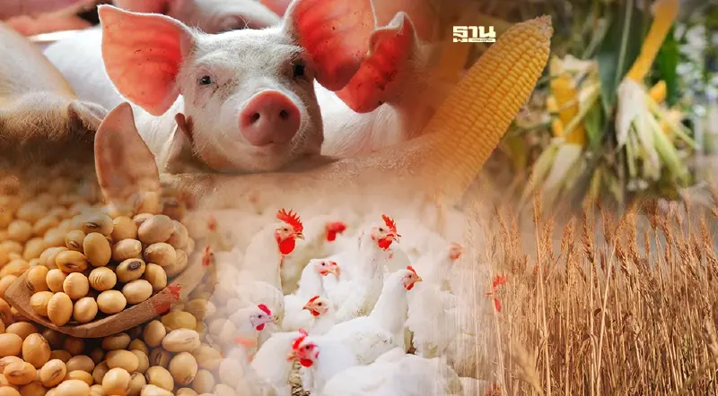 “สงครามยูเครน-มาตรการรัฐ” สะเทือนหนัก รง.อาหารสัตว์หยุดไลน์ผลิต