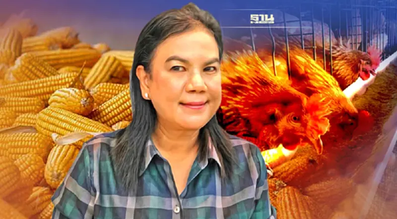 ไม่ไหวแล้ว! ผู้เลี้ยงไก่ไข่วอนรัฐ แก้ปัญหาข้าวโพดแพง ต้นทุนพุ่งขายขาดทุน ไม่ไหวแล้ว! ผู้เลี้ยงไก่ไข่วอนรัฐ แก้ปัญหาข้าวโพดแพง ต้นทุนพุ่งขายขาดทุน