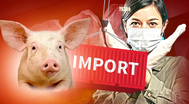 กลไกตลาดทำงาน หมูแพงคนลดบริโภค ราคาถูกลง ชี้ไม่จำเป็นต้องนำเข้า กลไกตลาดทำงาน หมูแพงคนลดบริโภค ราคาถูกลง ชี้ไม่จำเป็นต้องนำเข้า