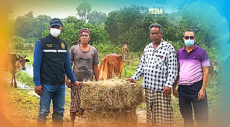 สั่งเร่งช่วยเหลือเกษตรกร 7 จังหวัดภาคใต้ด่วน! สั่งเร่งช่วยเหลือเกษตรกร 7 จังหวัดภาคใต้ด่วน!