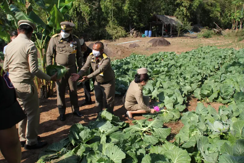 ฟื้นฟูป่าเสื่อมโทรมบนภูขัด ภูเมี่ยง ภูสอยดาว ให้ราษฎรใช้ "ที่ดินทำกิน"