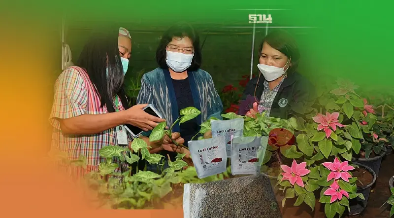 ชี้ทางรวย กาแฟ-ไม้ประดับไทย สินค้าศักยภาพสูงพร้อมบุกตลาดโลก