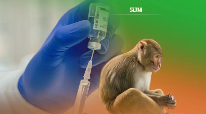 ผลวิจัยกับลิงชี้ อาจไม่จำเป็นต้องมีวัคซีนสูตรป้องกันโอมิครอนโดยเฉพาะ