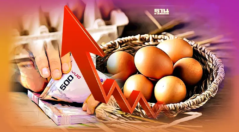 วันพรุ่งนี้  “ไข่ไก่” ปรับราคา 9 บาทต่อแผง รู้หรือยัง