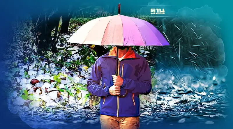 กรมอุตุฯพยากรณ์อากาศพรุ่งนี้ 47 จว.ฝนฟ้าคะนอง ระวังลูกเห็บตก