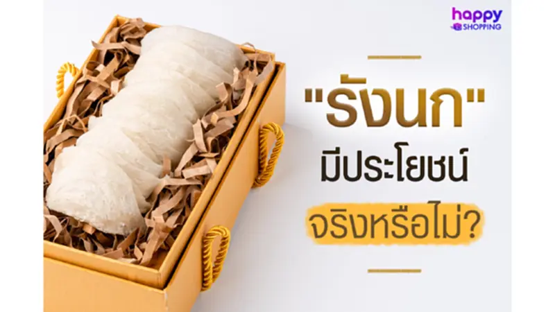 "รังนก" มีประโยชน์จริงหรือไม่? "รังนก" มีประโยชน์จริงหรือไม่?
