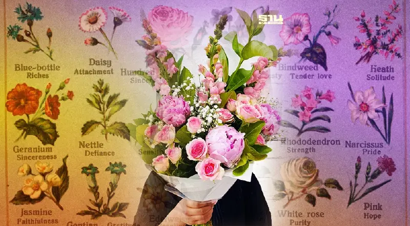 เลือกดอกไม้ "วาเลนไทน์" ไม่ใช่กุหลาบก็ได้นะ