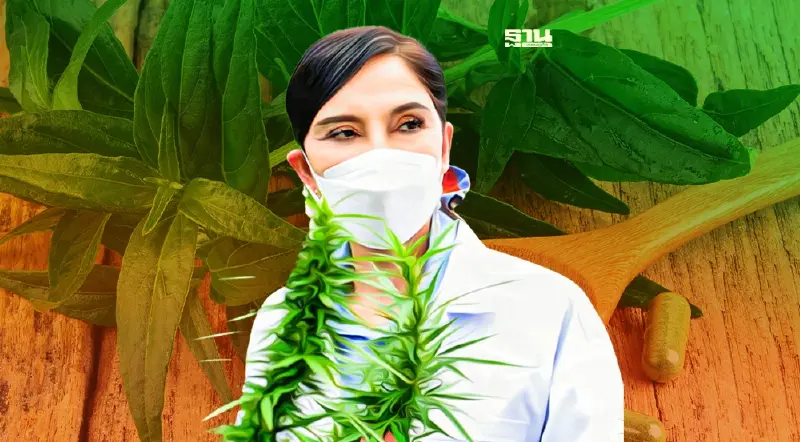 มนัญญาสั่งปลดล็อค กัญชา-กัญชง ห้ามกระทบผู้ปลูกในประเทศ