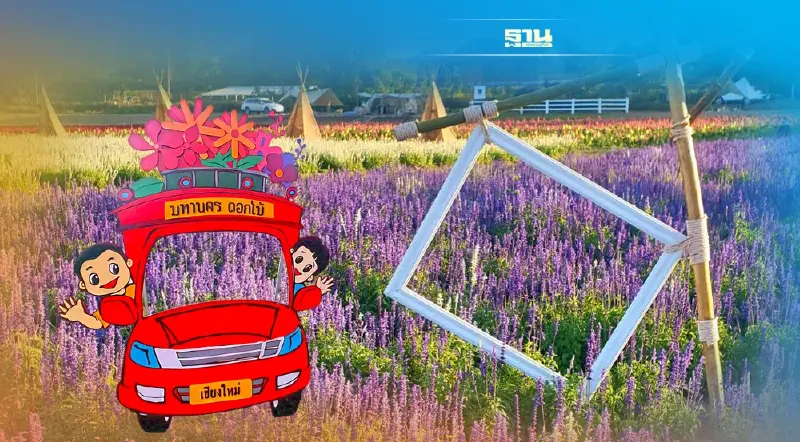 สีสันสดใส‘มหานครดอกไม้’ จุดเช็คอินใหม่ท่องเที่ยว"เชียงใหม่"