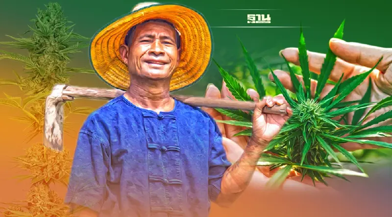 เปิดเวทีถก ‘ราคากลาง’ ยกระดับอุตสาหกรรมกัญชง