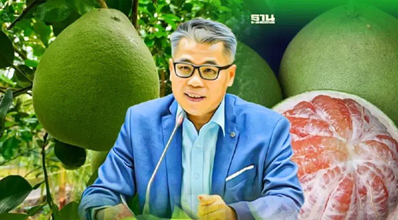 ครั้งแรกในรอบ 15 ปี สหรัฐฯ ไฟเขียวเปิดตลาดนำเข้าส้มโอไทย ครั้งแรกในรอบ 15 ปี สหรัฐฯ ไฟเขียวเปิดตลาดนำเข้าส้มโอไทย