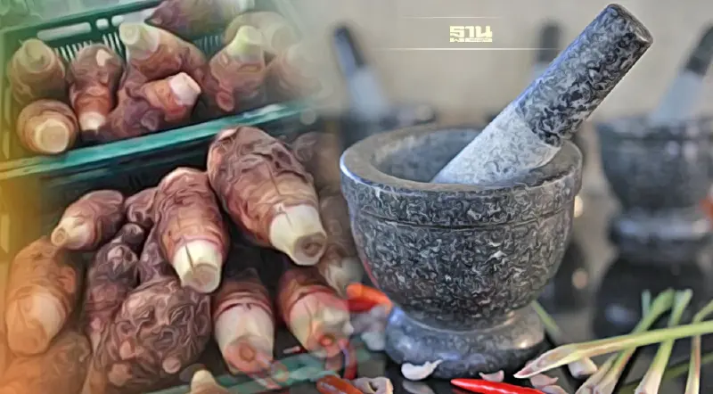 เปิดตัว 2 GI ไทย“ครกหินแกรนิตตาก - เผือกหอมบ้านหมอ”