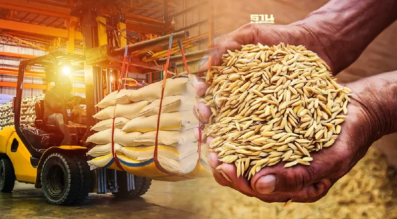 "พาณิชย์-ผู้ส่งออกข้าว"เปิดตัว6ข้าวพันธุ์ใหม่