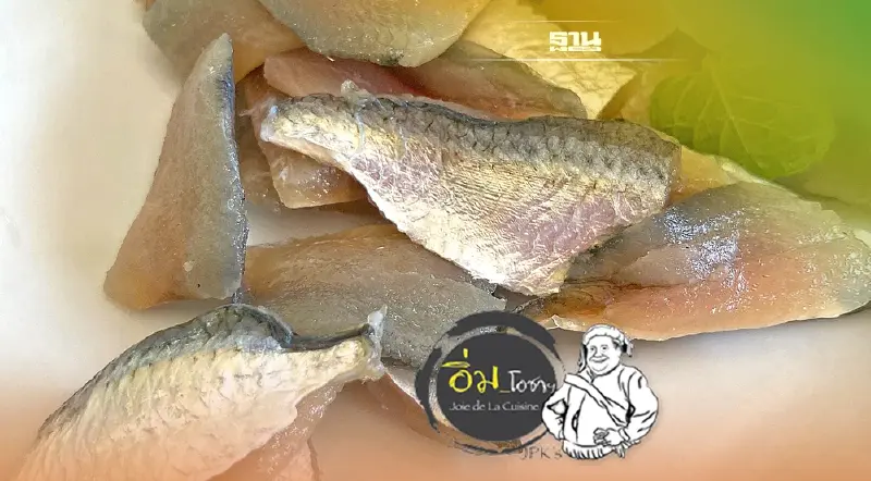 ปลากุแร