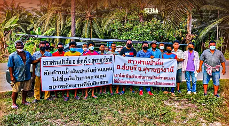 ชาวสวนปาล์มปลุกกระแส ค้านน้ำมันปาล์มผ่านแดน ขึ้นป้ายพรึบ ชาวสวนปาล์มปลุกกระแส ค้านน้ำมันปาล์มผ่านแดน ขึ้นป้ายพรึบ