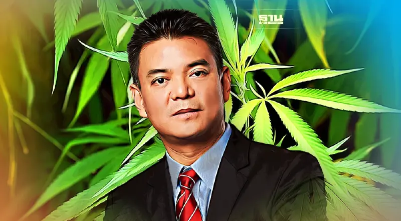 ราคากัญชง ควรจะอยู่ที่กี่บาท เช็คข้อมูลได้ที่นี่