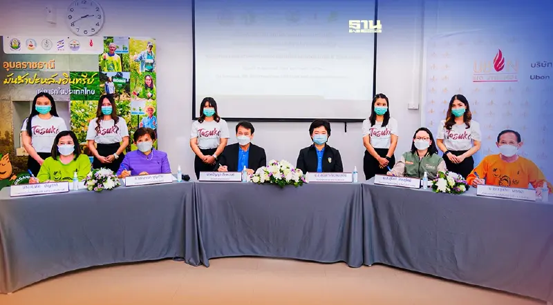 ชาวไร่มันอินทรีย์เฮ อุบลซันฟลาวเวอร์บุกตลาดแป้งออร์แกนิก 