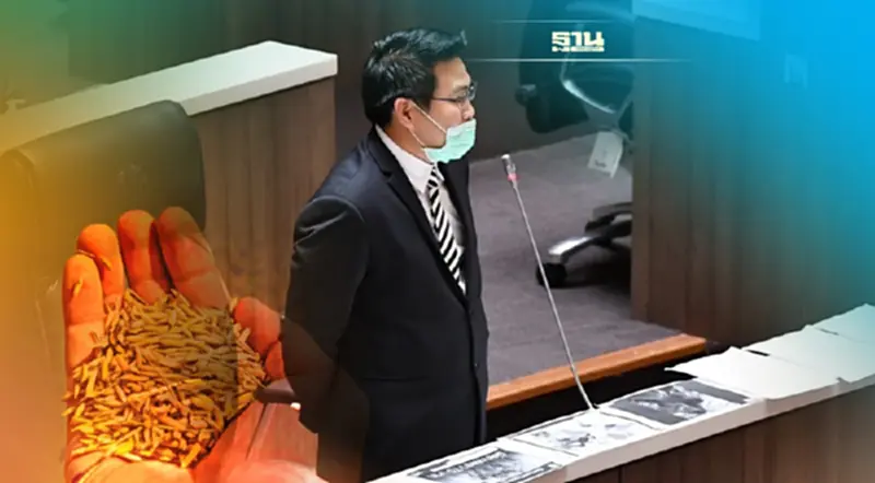 ส.ส. เพื่อไทย จัดหนัก "บิ๊กตู่" อยู่นาน ทำเสียแชมป์ข้าวให้เวียดนาม ส.ส. เพื่อไทย จัดหนัก "บิ๊กตู่" อยู่นาน ทำเสียแชมป์ข้าวให้เวียดนาม