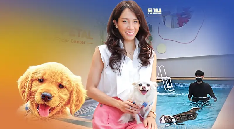 Hospetal ปักหมุด ศูนย์สุขภาพสัตว์เลี้ยง