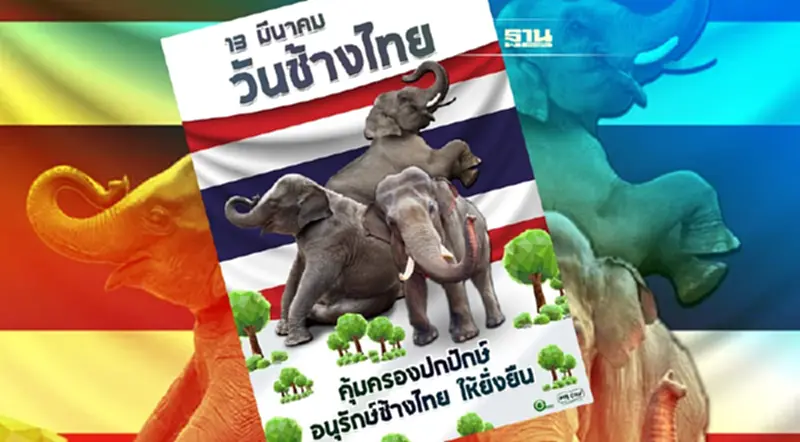รัฐบาล ย้ำให้ความสำคัญอนุรักษ์ช้างป่า-ลดขัดแย้งช้างชุมชน รัฐบาล ย้ำให้ความสำคัญอนุรักษ์ช้างป่า-ลดขัดแย้งช้างชุมชน