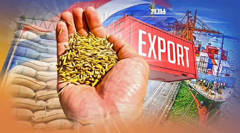 เอกชนมั่นใจส่งออกข้าวปีนี้  ทวงเบอร์2 คืนจากเวียดนามได้แน่