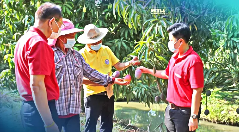 แม็คโครร่วมกรมการค้าภายใน แก้ปัญหาผลไม้ เดินหน้ารับซื้อ 38,400 ตัน