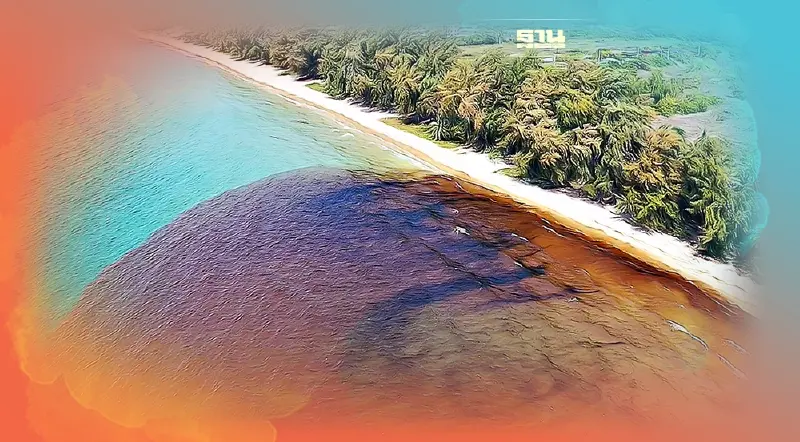 อลหม่านเยียวยาผลกระทบเหตุน้ำมันรั่ว SPRC ใครเดือดร้อน ใครสร้างสถานการณ์