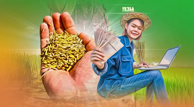 ประกันรายได้ข้าวงวด24 ข้าวเปลือกเหนียวรับสูงสุด เช็คเลย
