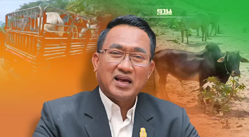 ปศุสัตว์สกัดจับแก๊งลักลอบ ขนย้ายโค มีชีวิต เมียนมา เข้าไทย