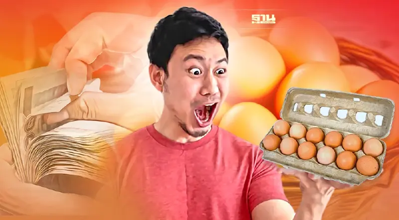 ไข่ไก่แพง ทางแก้ที่ไม่มีทางออก  “พาณิชย์”โบ้ยอากาศร้อนทำแม่ไก่ไม่ฟักไข่