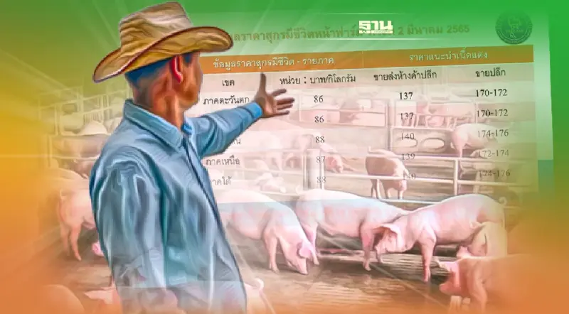 วันพระนี้  หมูขอปรับราคาขึ้น 2 บาท/กิโลกรัม  รู้ยัง