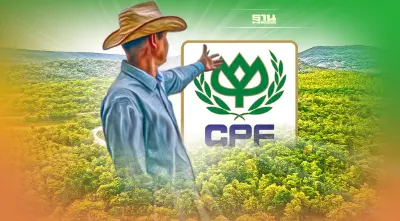 "วันป่าไม้โลก"  CPF ร่วมฟื้นฟูป่าต้นน้ำ ป่าชายเลน สร้างงาน-อาชีพให้ชุมชน