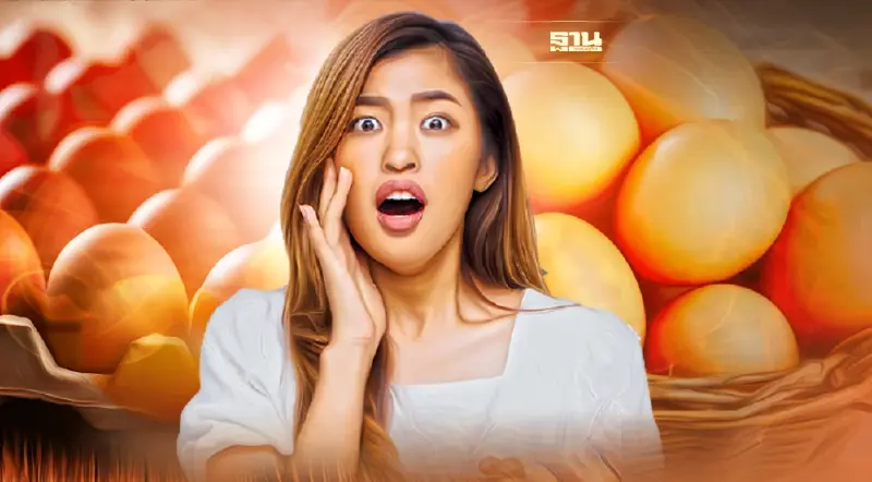 ไข่ไก่ขึ้นราคาอีกแล้ว  คนกินไข่ร้องจ๊าก 9บาทต่อแผง เช็คราคาได้เลยที่นี่