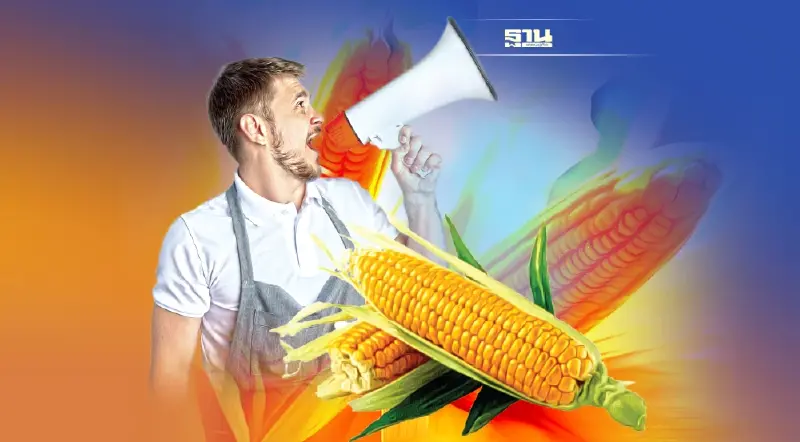 ชาวไร่ข้าวโพดเฮ  “เครือซีพี”  ซื้อสูงสุด โลละ 12.65  บาท