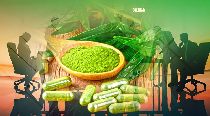 BC หนุนจ่ายยากัญชาแผนไทยผ่านคลินิกภาคเอกชน