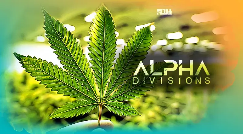 ALPHAX ลุยผลิตสารสกัดกัญชงป้อนลูกค้า ดันรายได้ปีนี้คาด 450 ล้าน