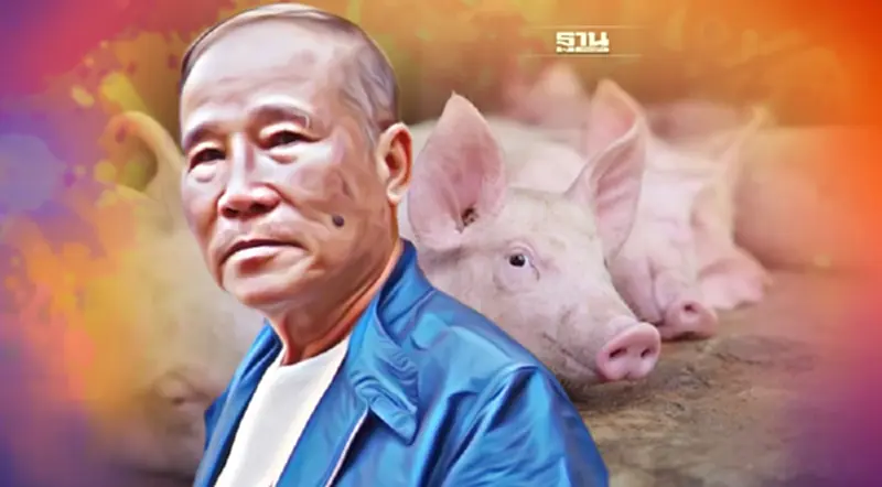 เกษตรกรขอบคุณพาณิชย์-เกษตรฯไม่นำเข้าหมู รายใหญ่-กลางแห่เลี้ยงเพิ่ม เกษตรกรขอบคุณพาณิชย์-เกษตรฯไม่นำเข้าหมู รายใหญ่-กลางแห่เลี้ยงเพิ่ม