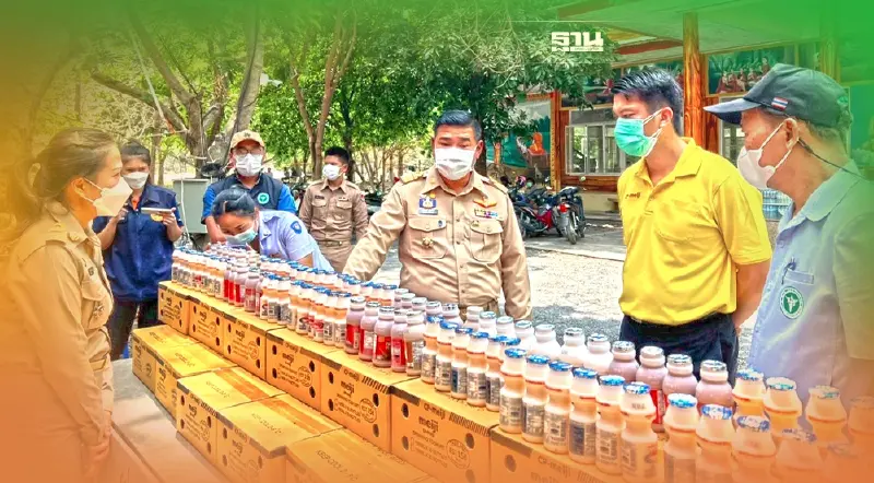 เติมนมเติมพลัง "ซีพี-เมจิ"เสริมสตรองทีมแพทย์-ผู้ป่วยCIหนองแคสู้โควิด-19