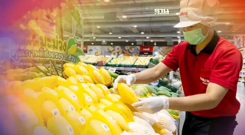 แม็คโคร รับซื้อตรง 3,500 ตัน จุดพลุ “เทศกาลมะม่วง”ช่วยเกษตรกร