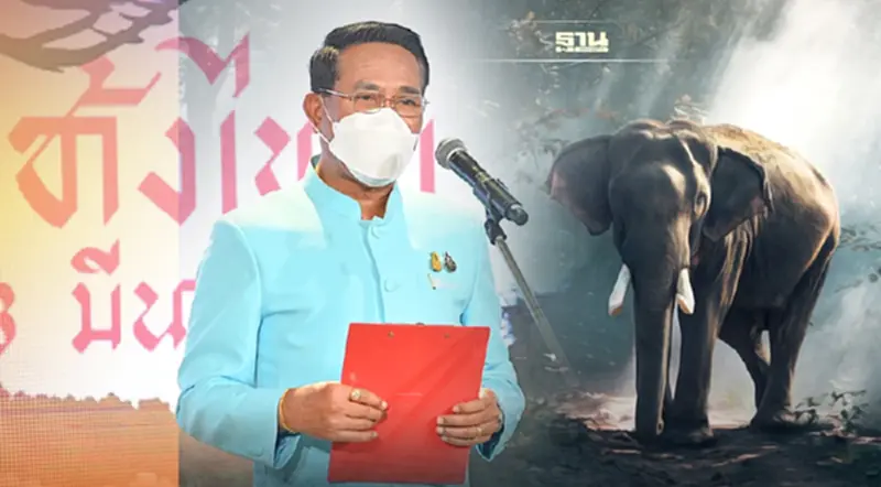 อธิบดีกรมปศุสัตว์ เปิดงาน “วันช้างไทย” 13 มีนาคม อธิบดีกรมปศุสัตว์ เปิดงาน “วันช้างไทย” 13 มีนาคม