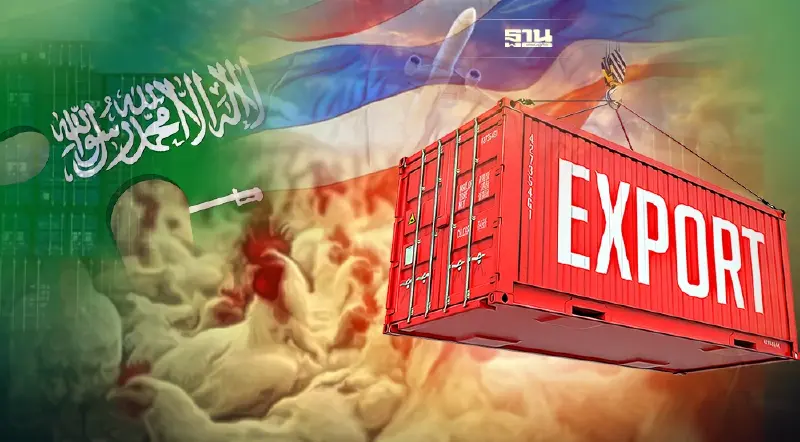 ข่าวดี ซาอุฯไฟเขียว 11 โรงงานไก่ไทยส่งออกได้แล้ว